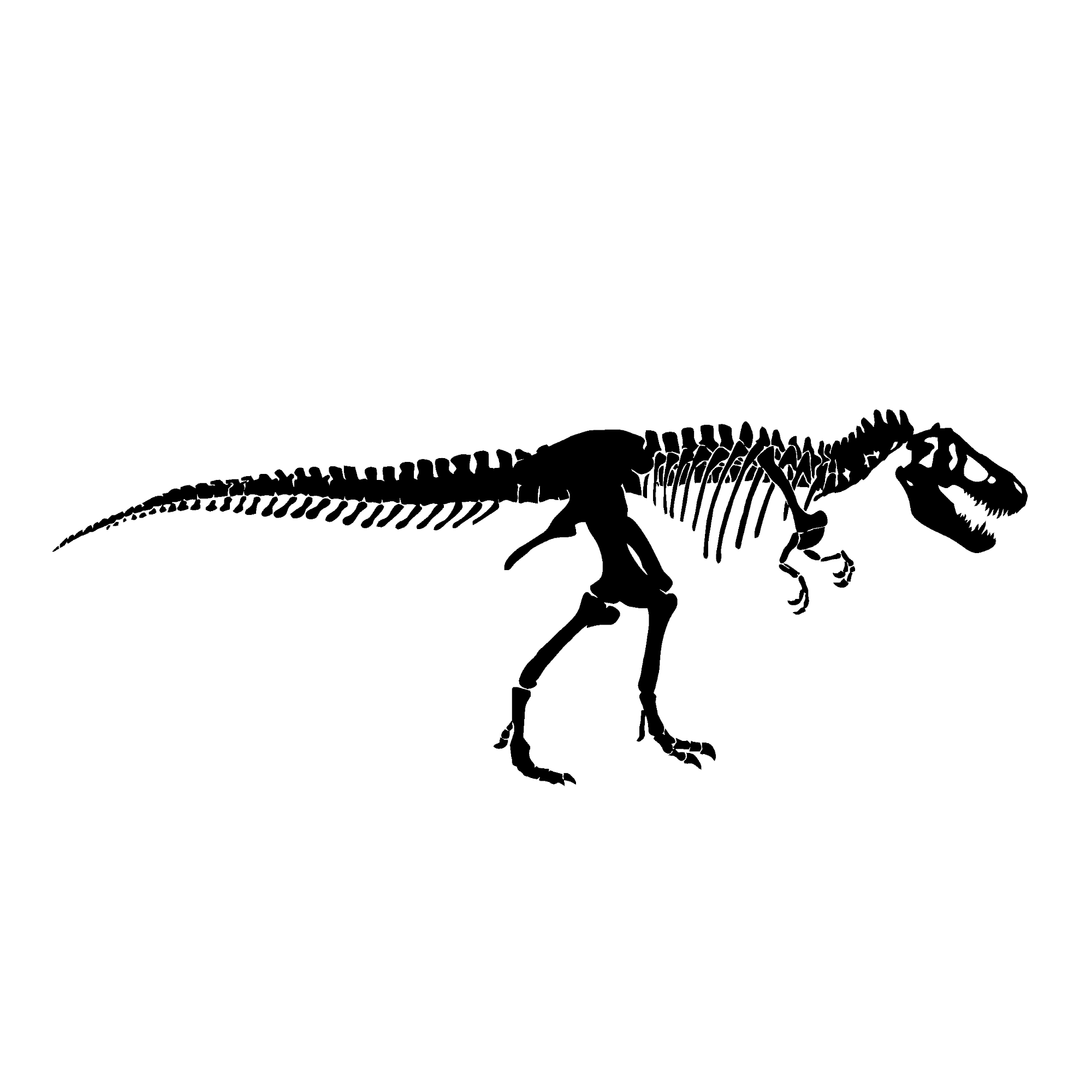 T-Rex Skelett
